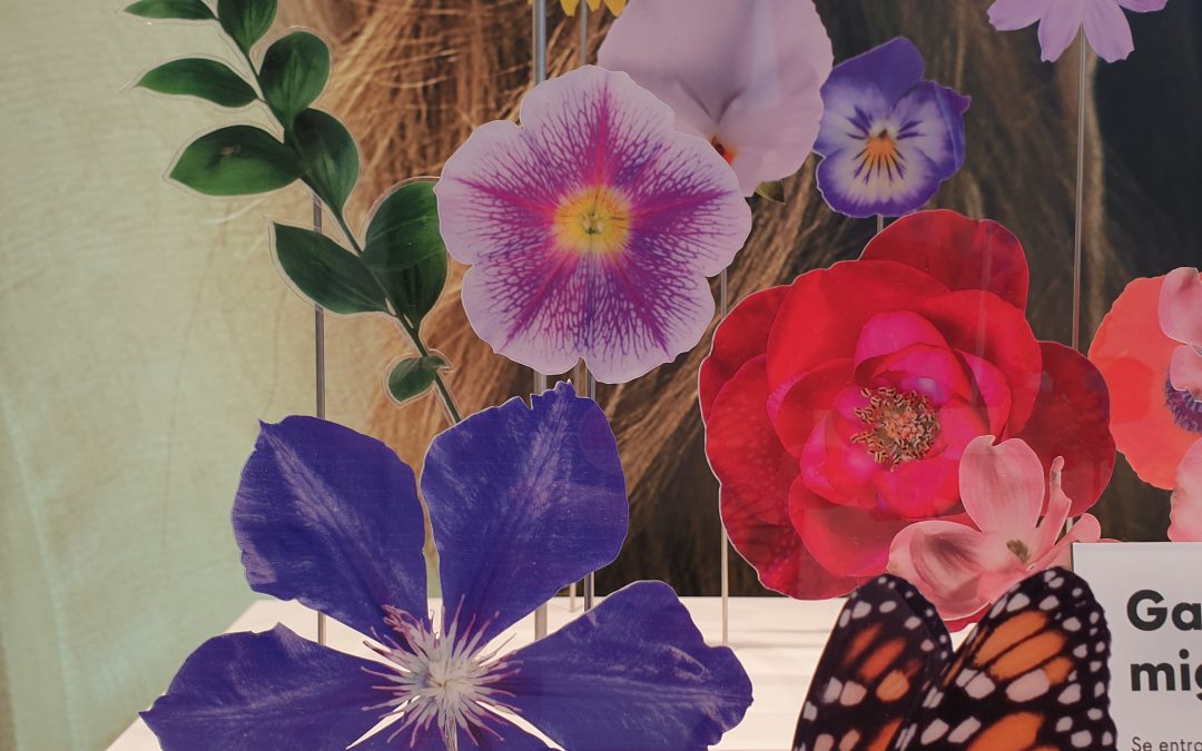 FIELMANN | SPRING | 2021