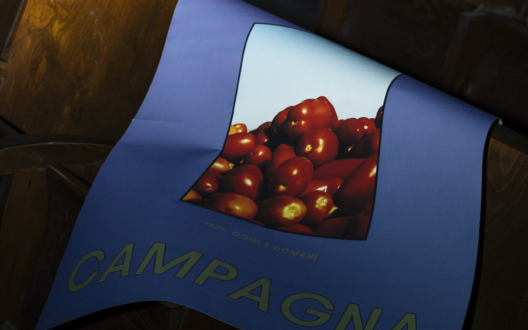 CASA MARRAZZO | FESATA DI FINE CAMPAGNA | PAGANI 2024